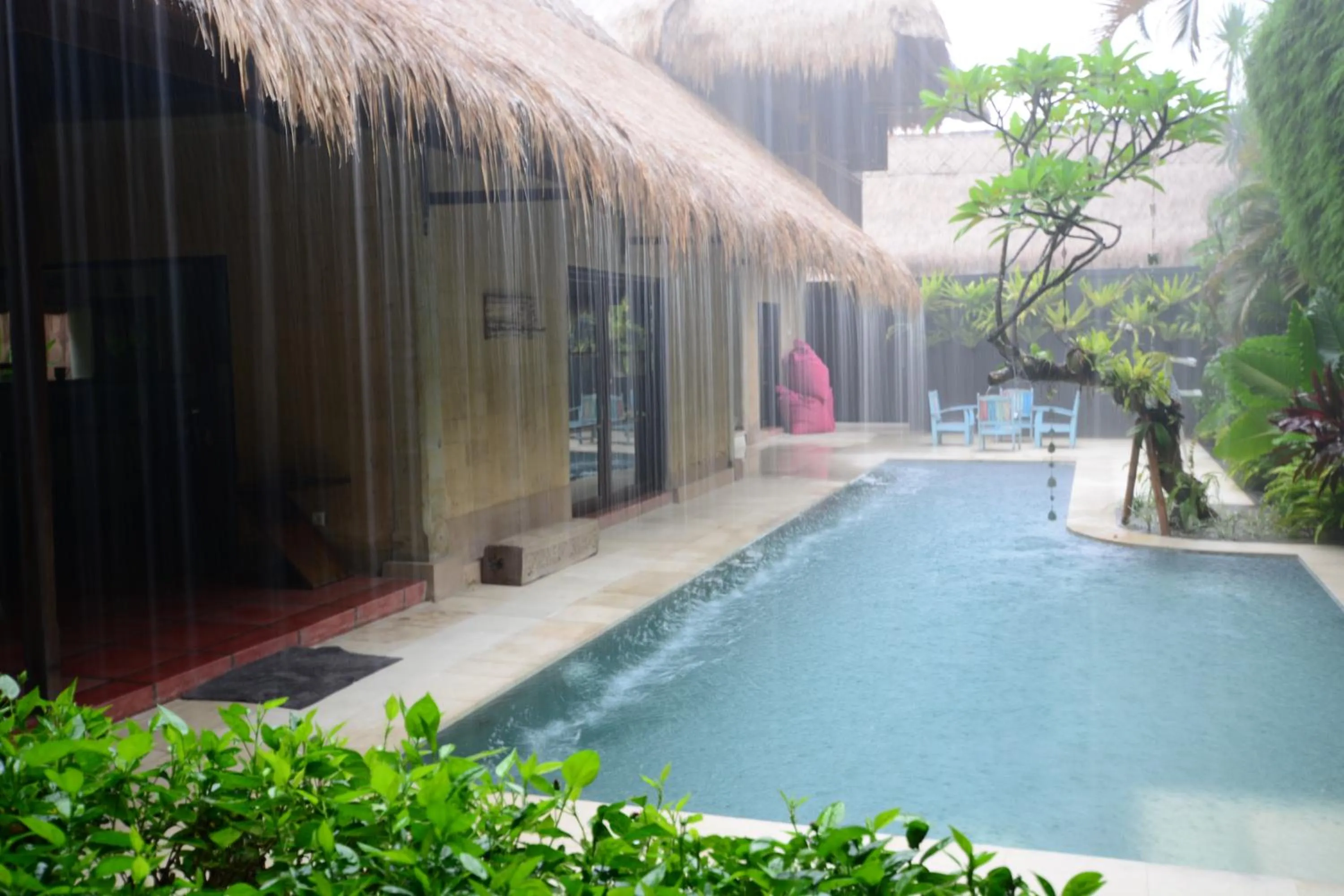 Garden in Villa Elleo