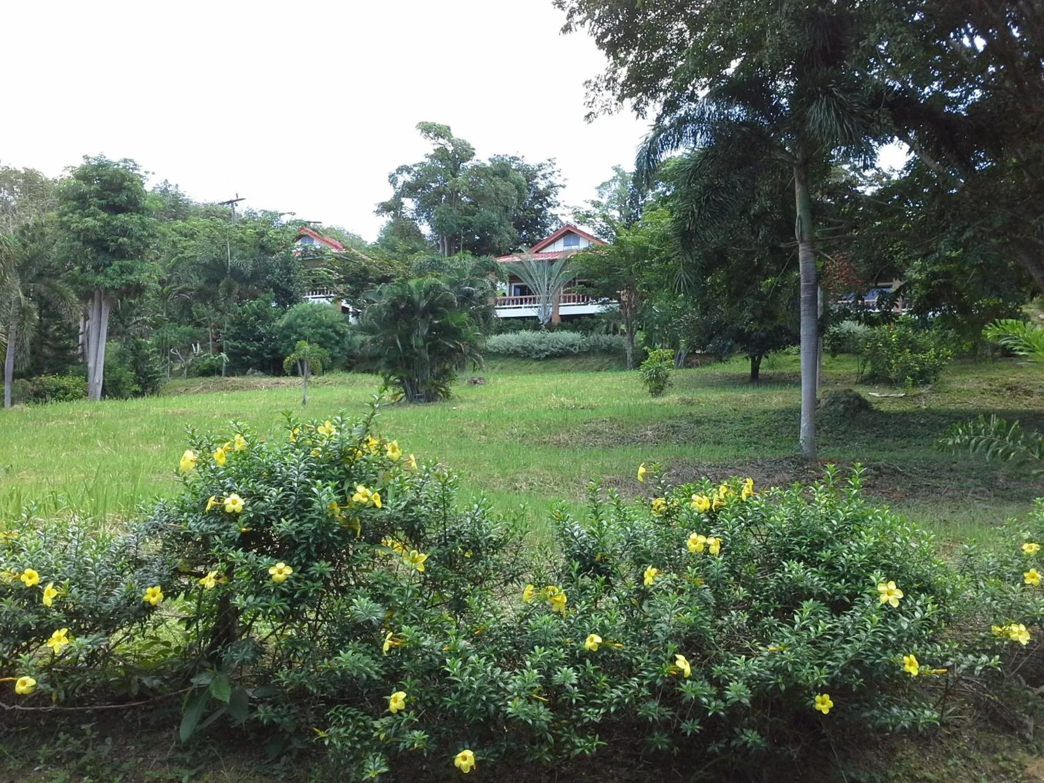 Garden in Freedom Estate sea view Apartments