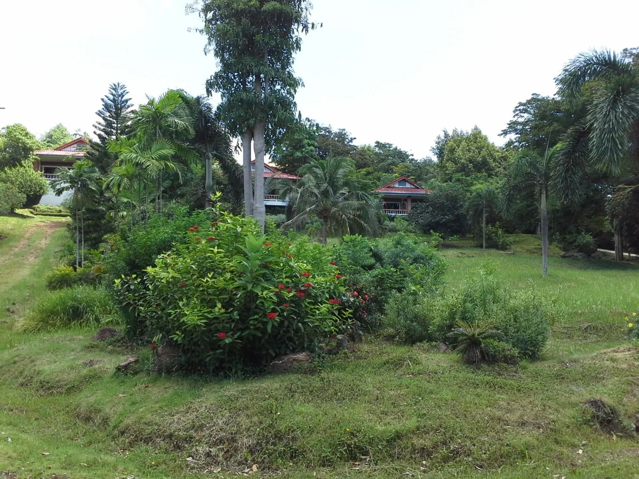 Garden in Freedom Estate sea view Apartments