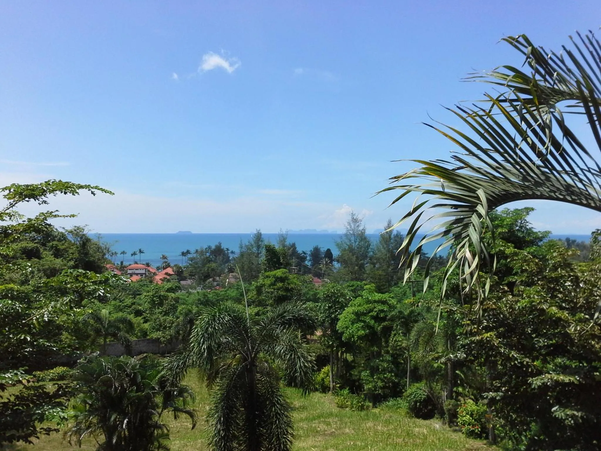 Garden view in Freedom Estate sea view Apartments
