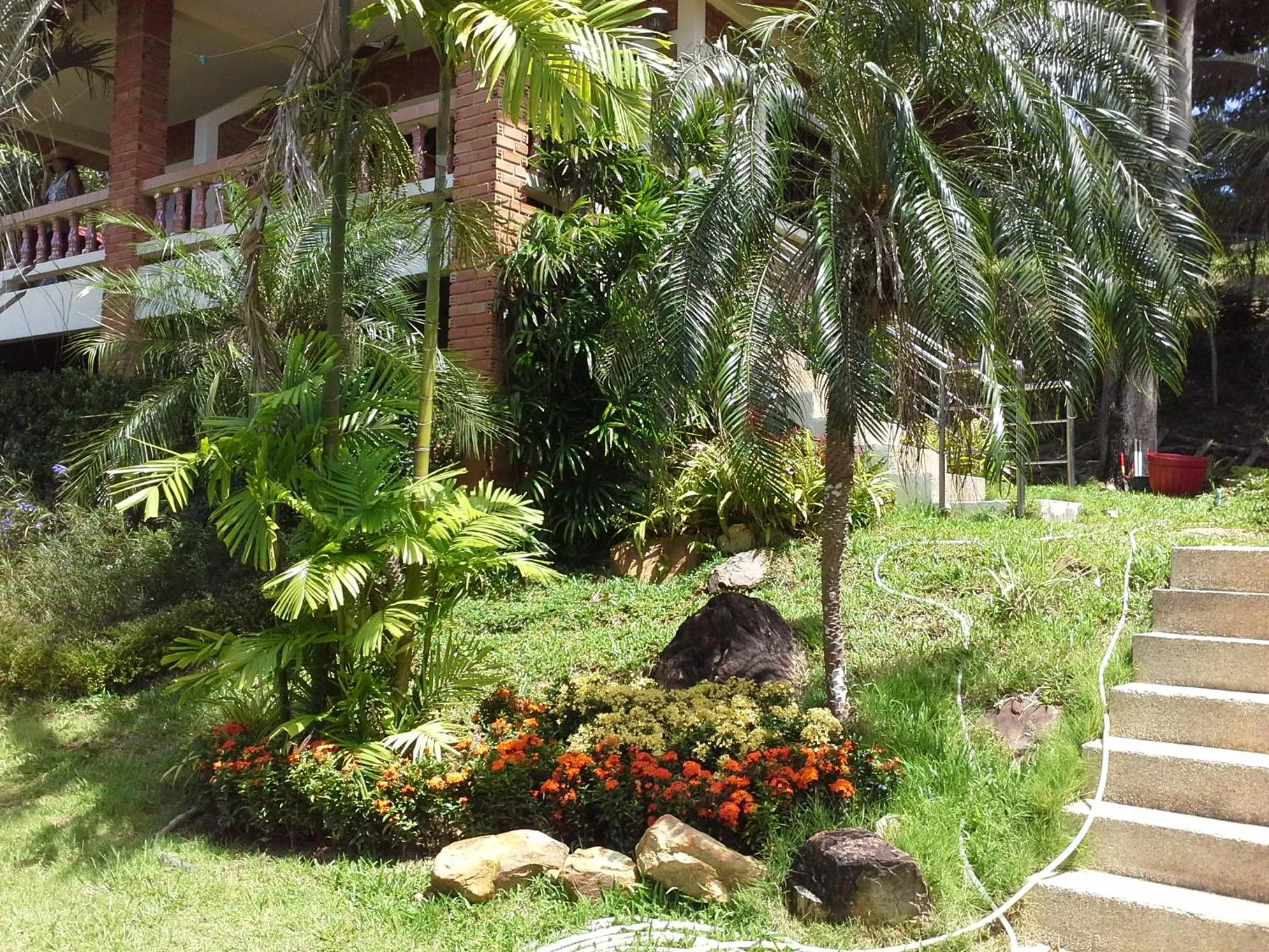 Garden in Freedom Estate sea view Apartments