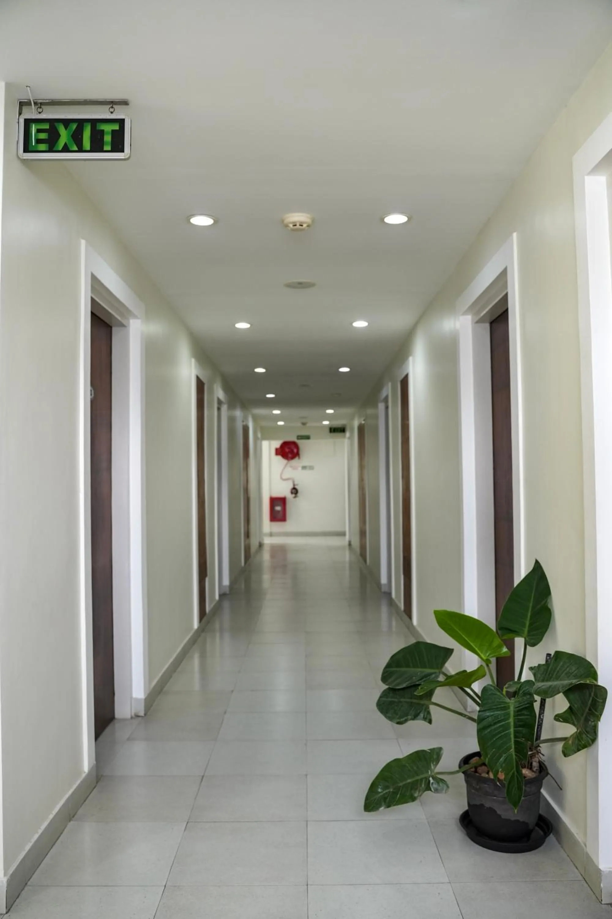 Property building in Hotel Palm shore