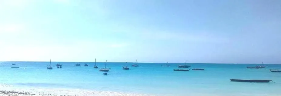 Beach in Mambo Boutique Nungwi