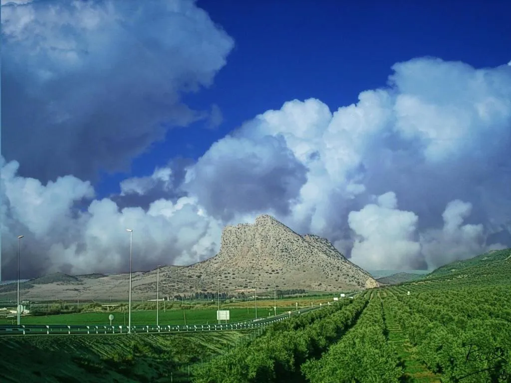 Nearby landmark in Hostal Colon Antequera