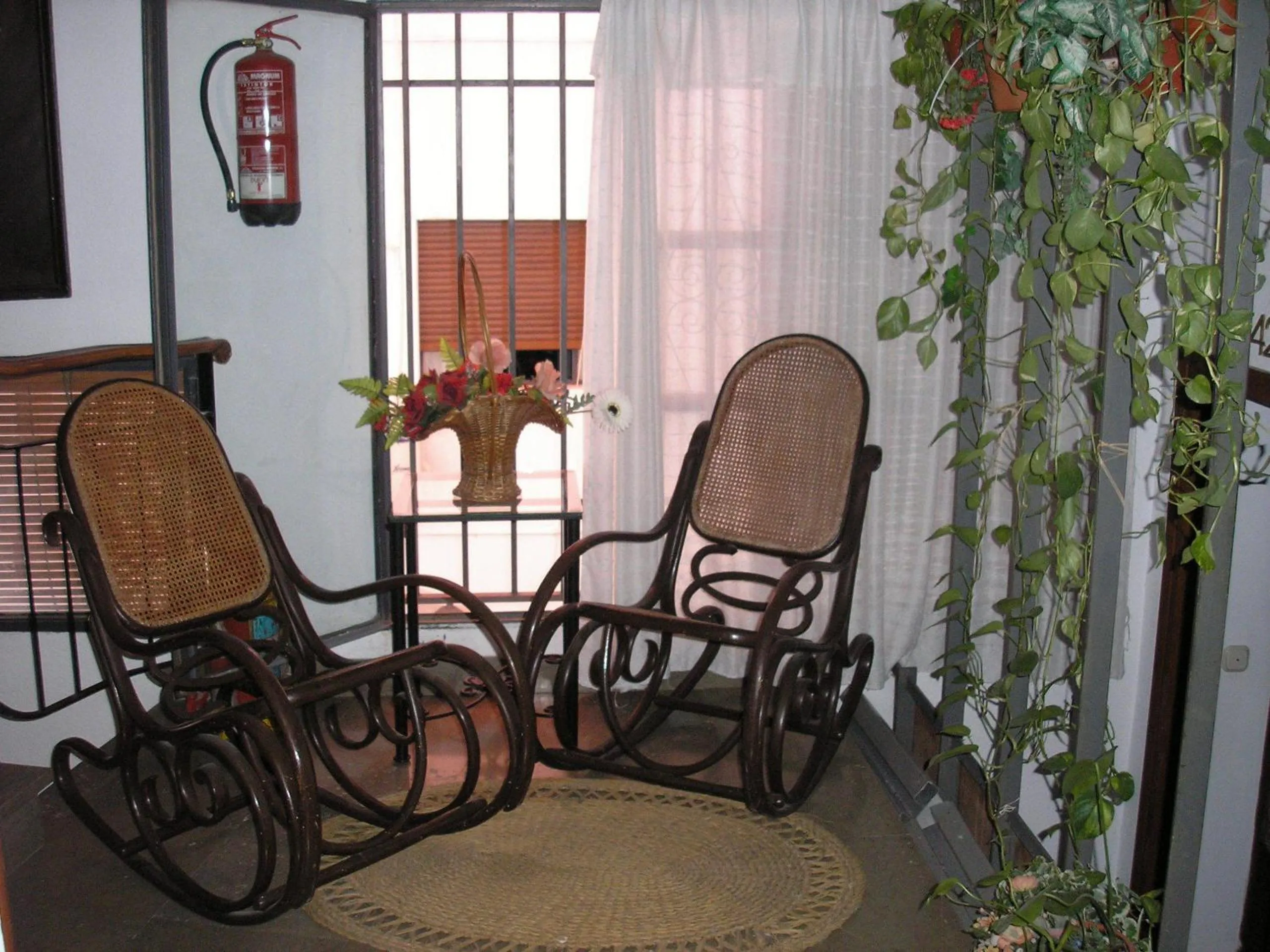 Area and facilities in Hostal Colon Antequera