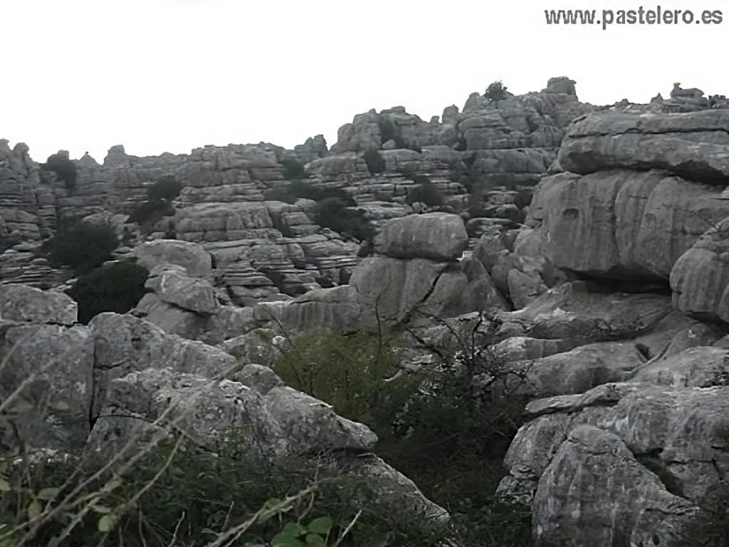 Day in Hostal Colon Antequera
