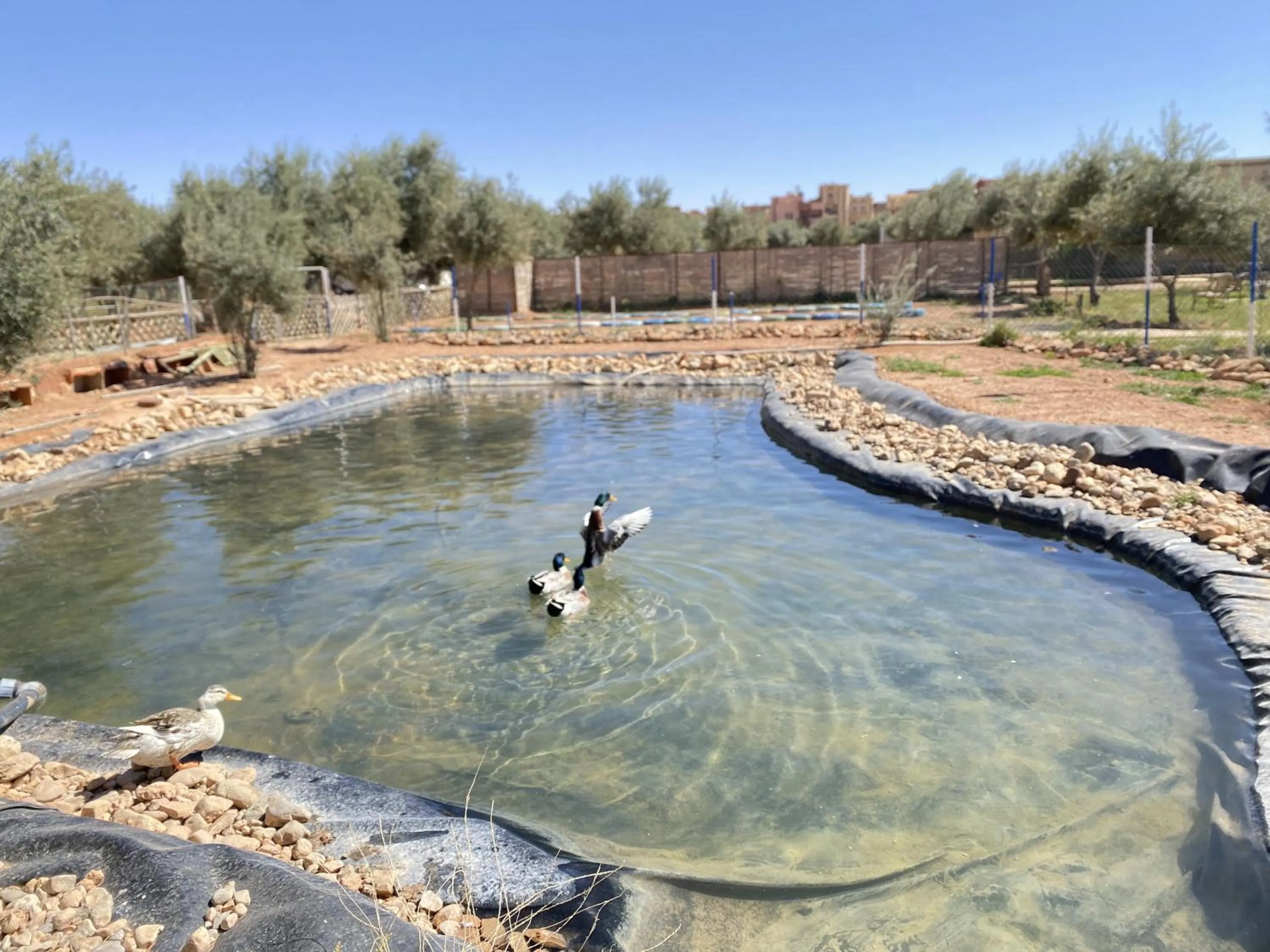Natural landscape in IGHIZ INN resort