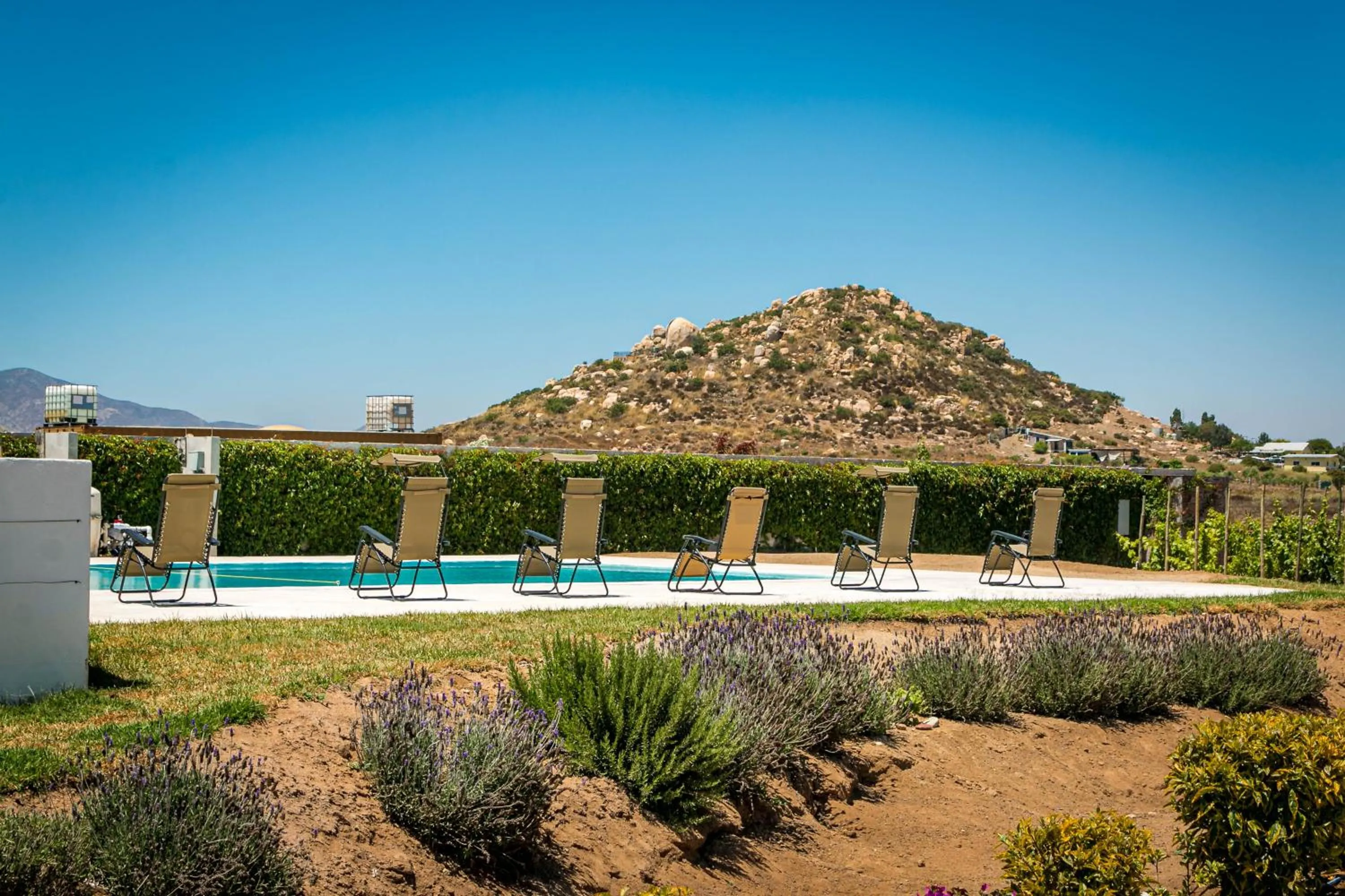Swimming pool in Finca San Sebastian