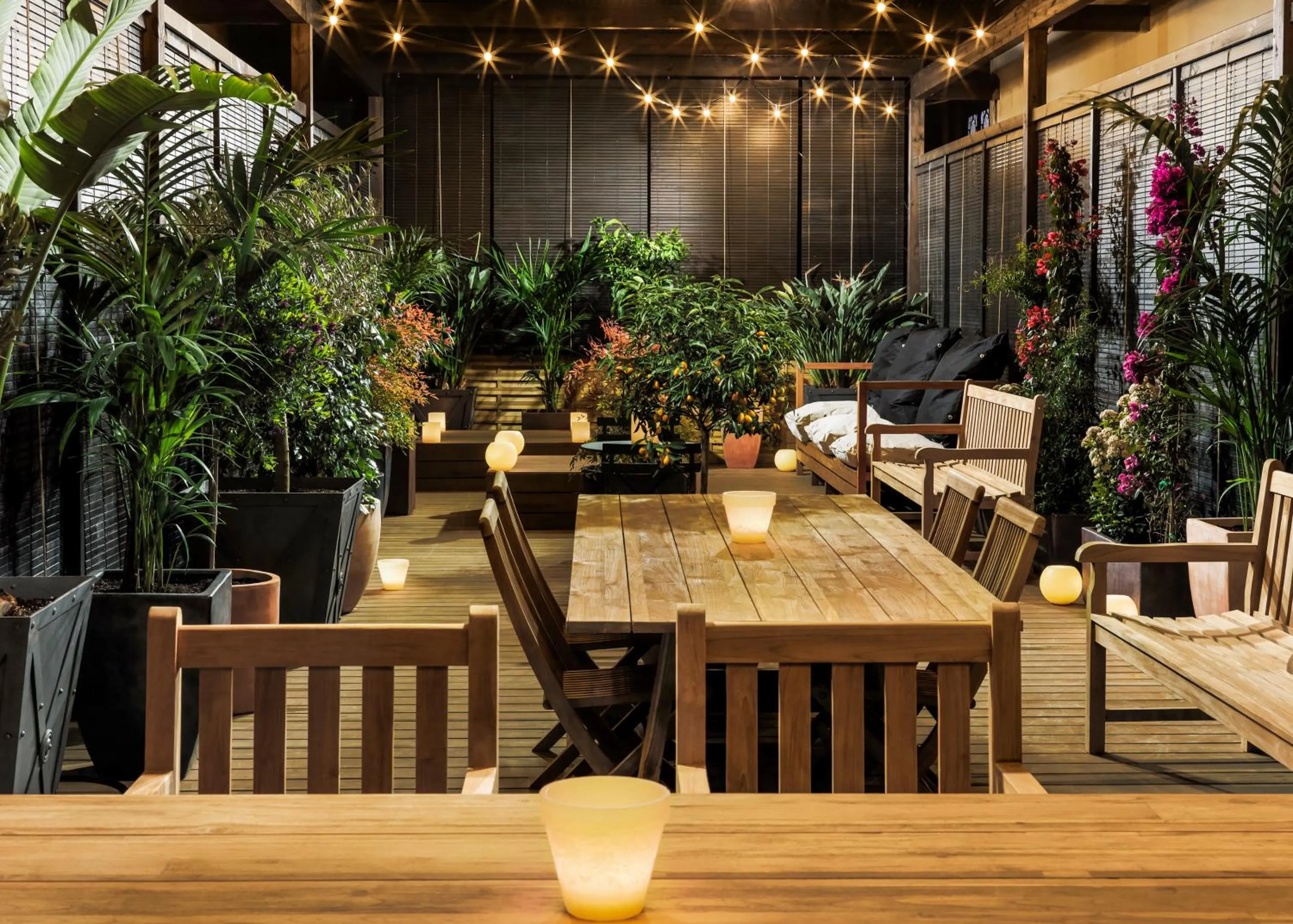 Garden in Boutique Hotel H10 Catalunya Plaza