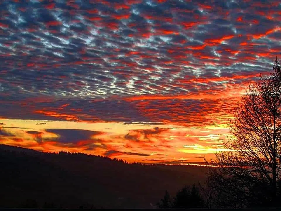 Forsters Schwarzwald Hof - Resort-Hotel&Pension