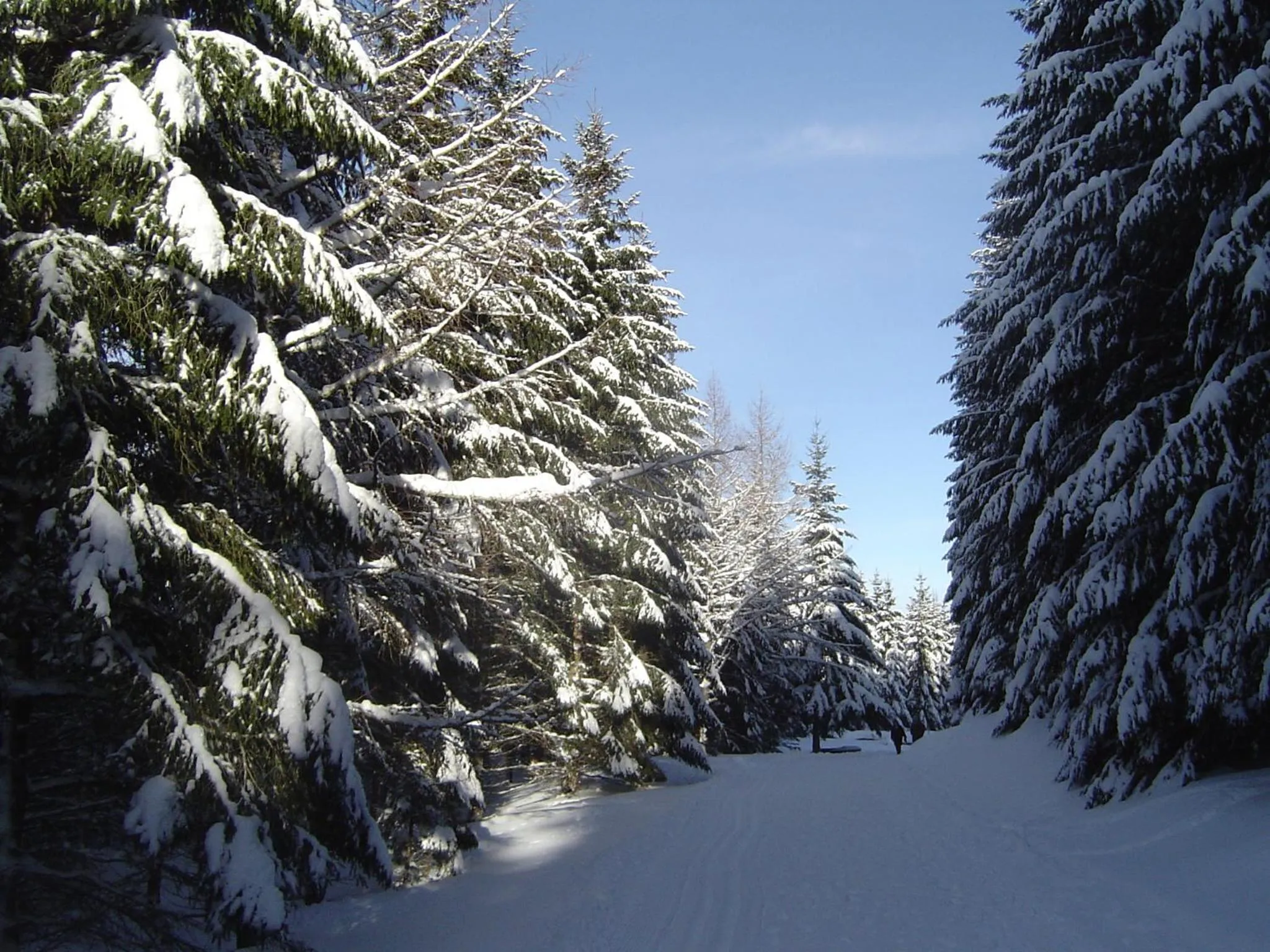 Winter in Forsters Schwarzwald Hof - Resort-Hotel&Pension