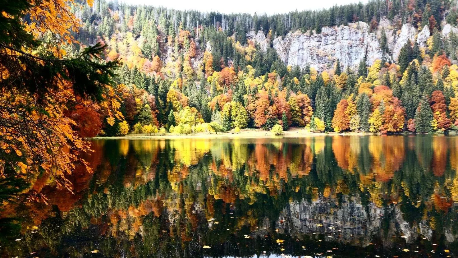 Forsters Schwarzwald Hof - Resort-Hotel&Pension