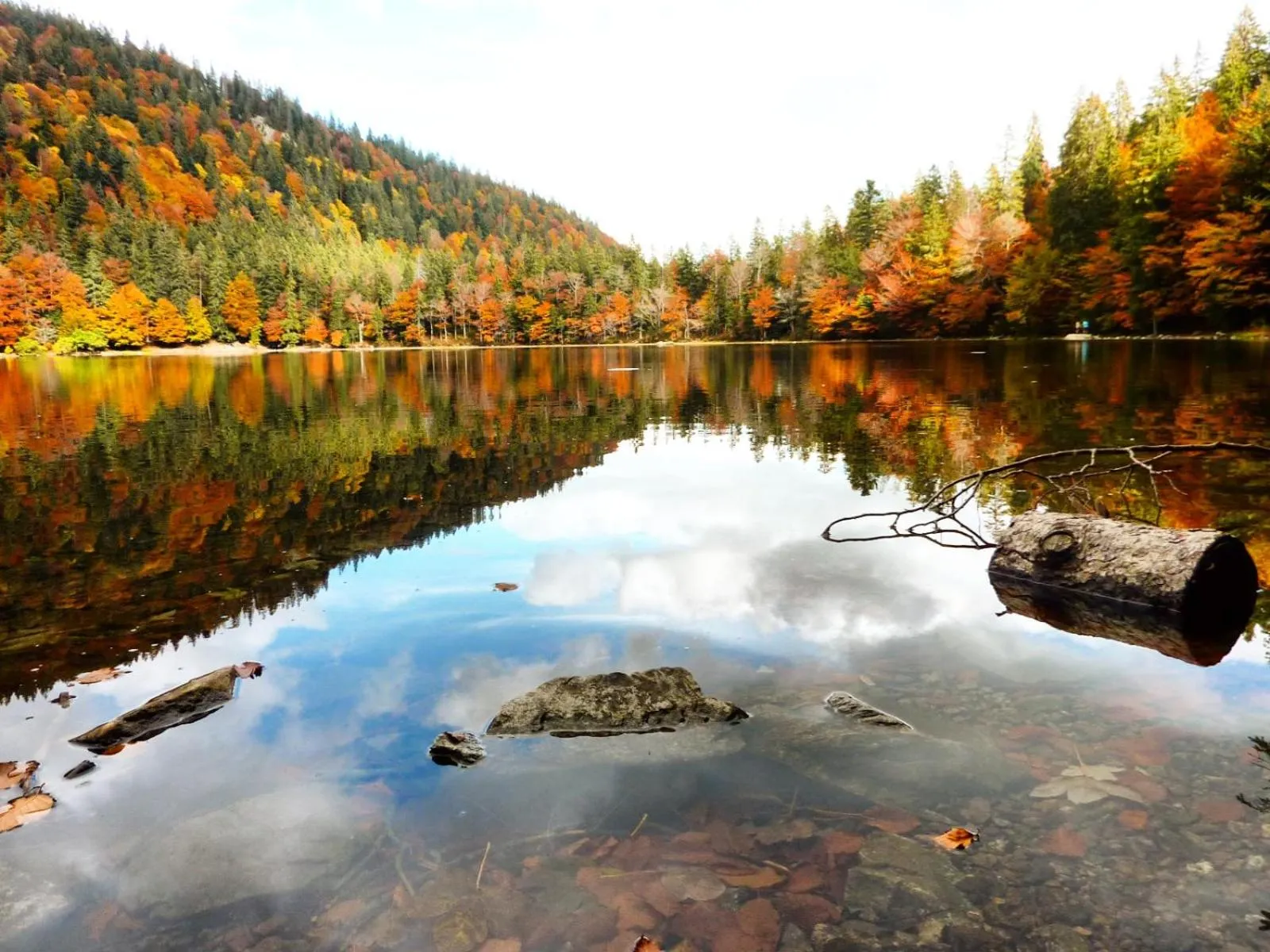 Forsters Schwarzwald Hof - Resort-Hotel&Pension