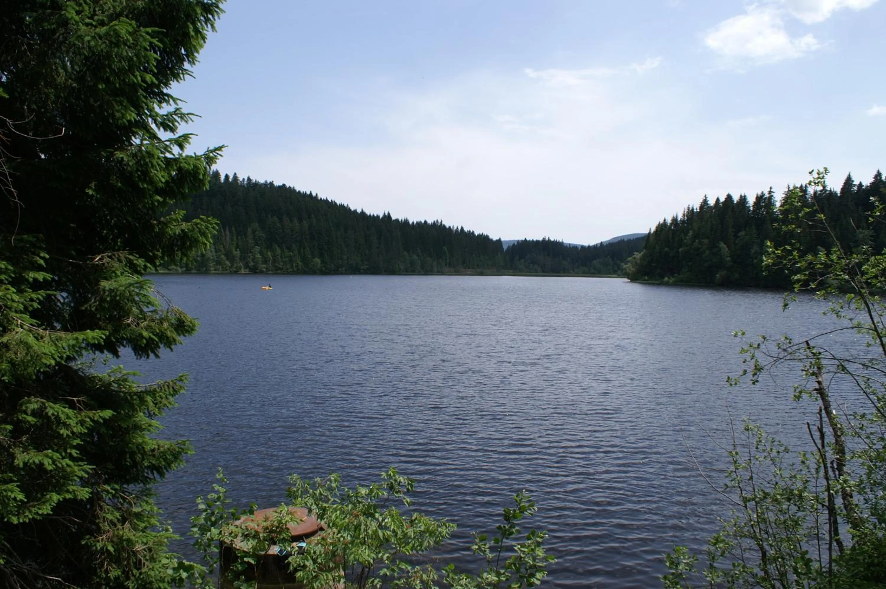 Summer in Forsters Schwarzwald Hof - Resort-Hotel&Pension