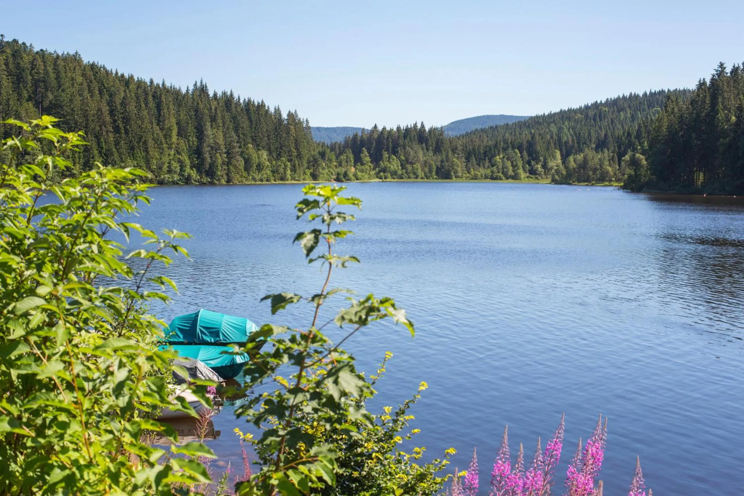 Forsters Schwarzwald Hof - Resort-Hotel&Pension