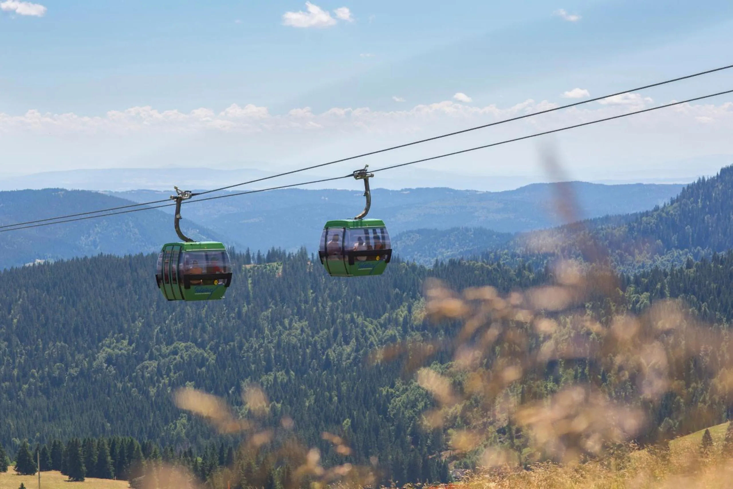 Forsters Schwarzwald Hof - Resort-Hotel&Pension