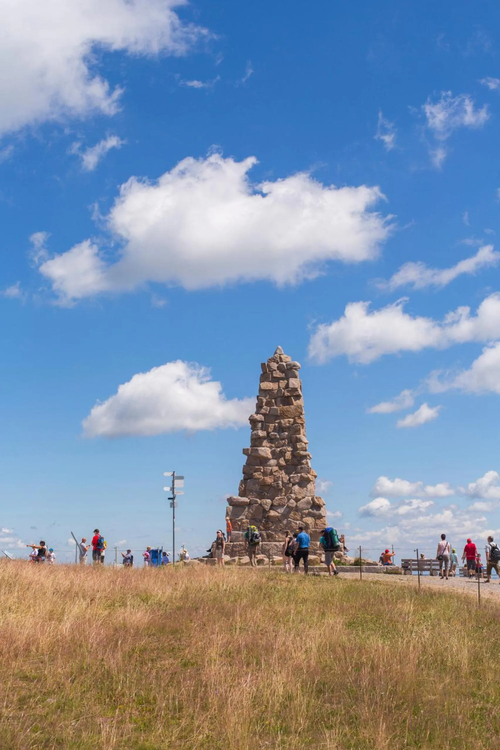 Forsters Schwarzwald Hof - Resort-Hotel&Pension