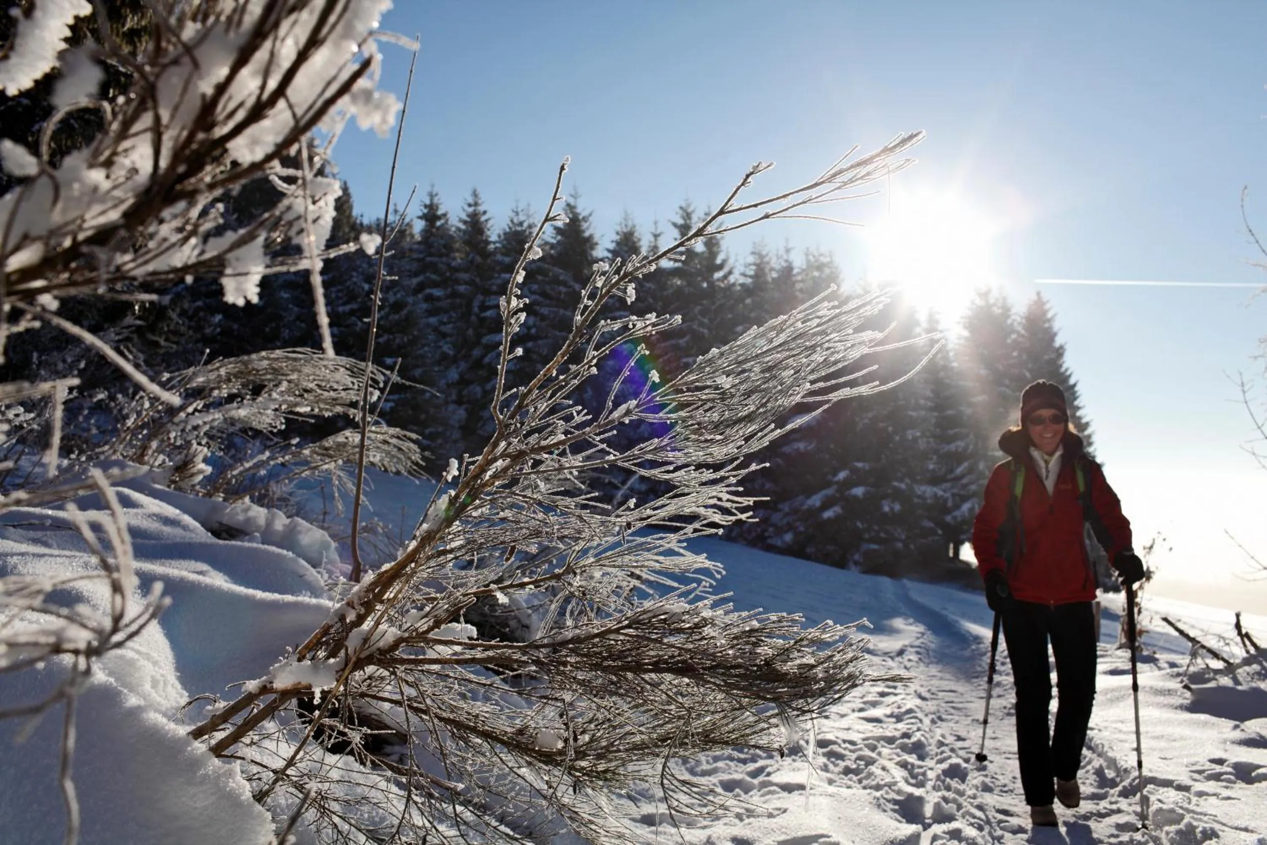 Forsters Schwarzwald Hof - Resort-Hotel&Pension