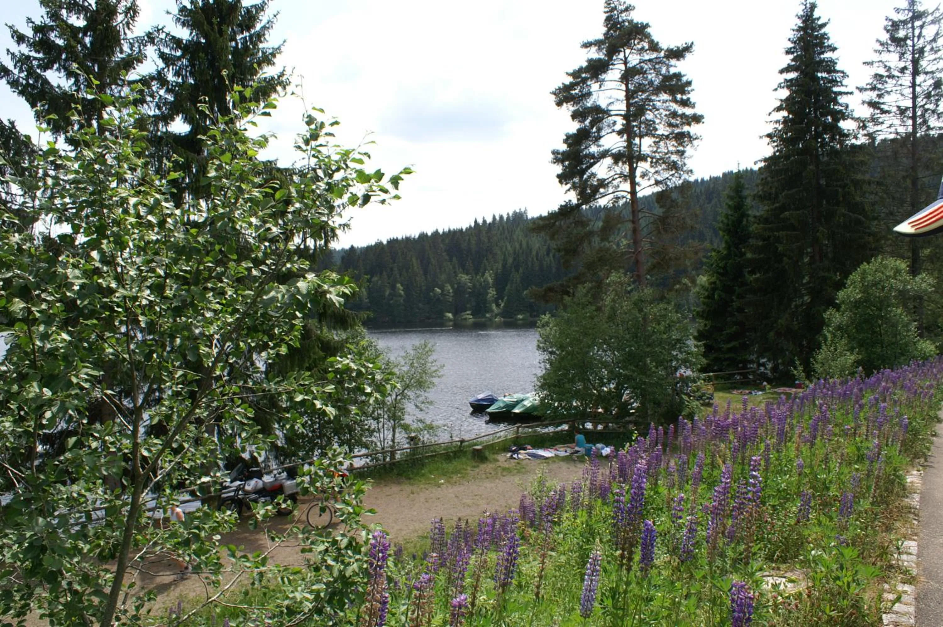 Summer in Forsters Schwarzwald Hof - Resort-Hotel&Pension