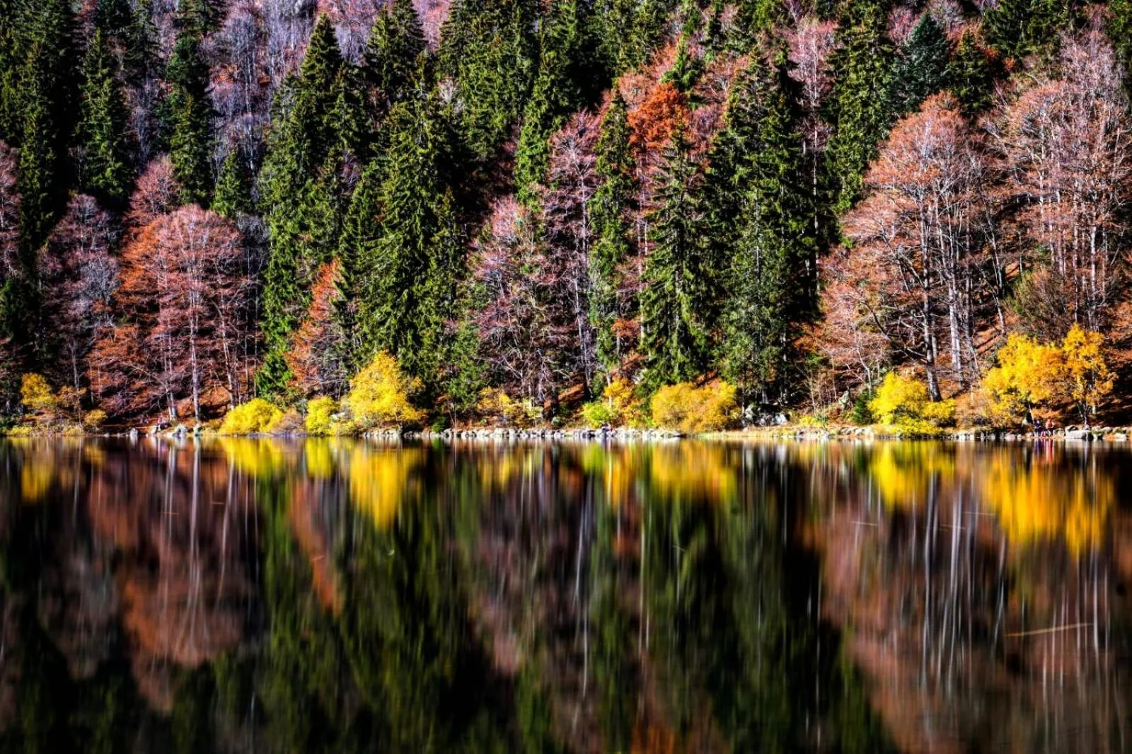 Forsters Schwarzwald Hof - Resort-Hotel&Pension