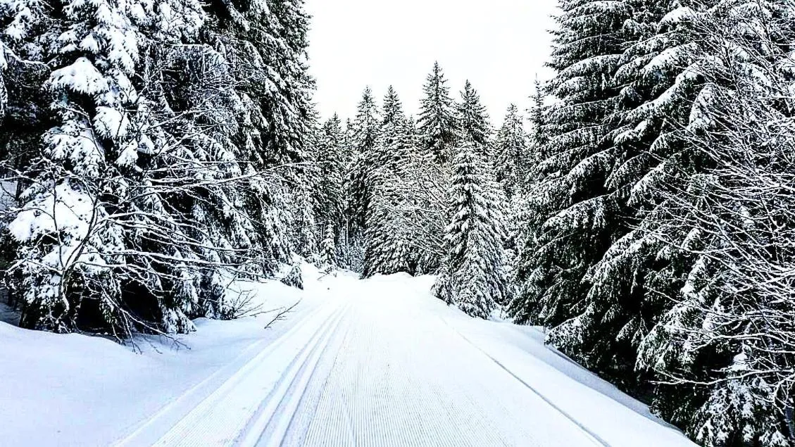 Forsters Schwarzwald Hof - Resort-Hotel&Pension