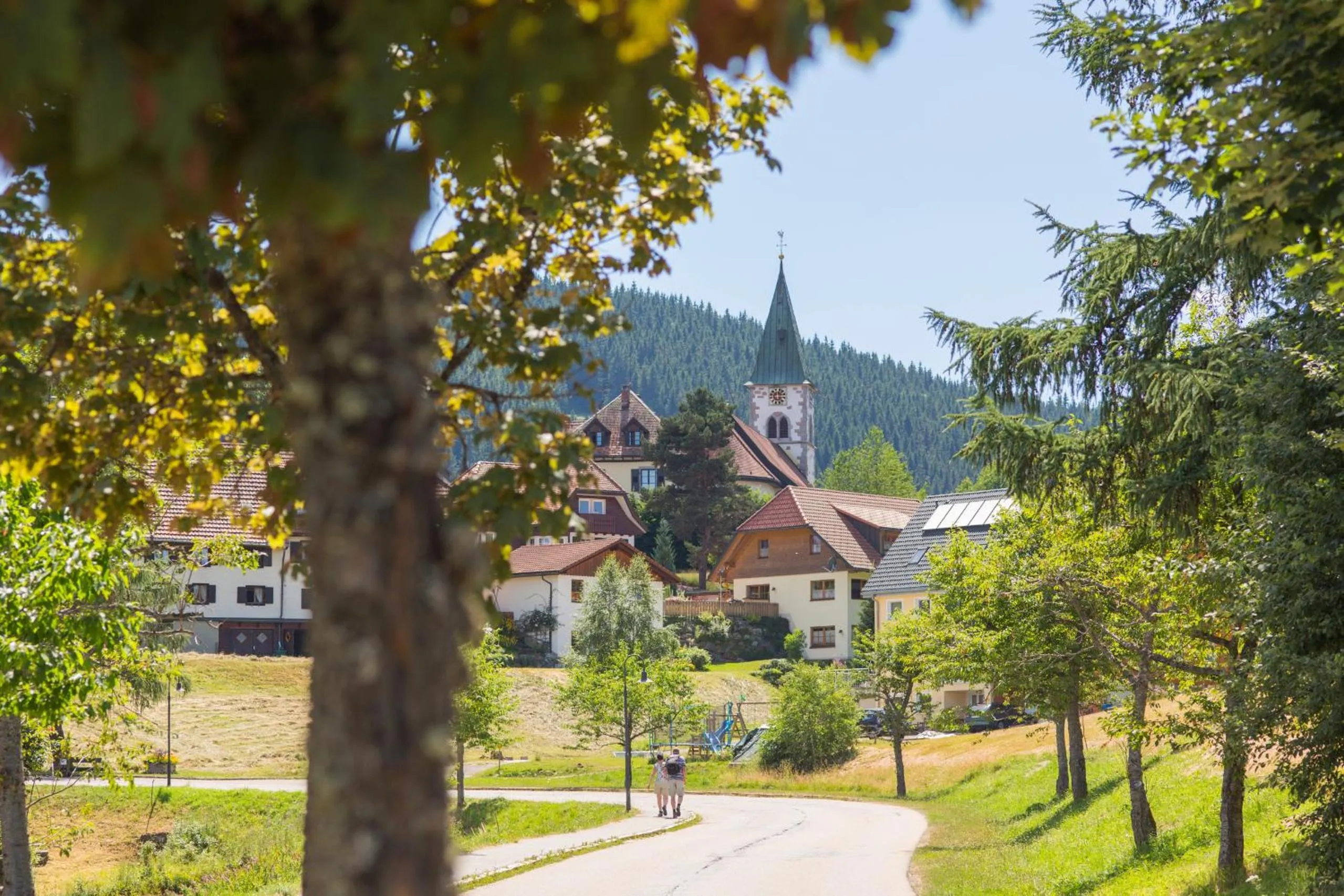 Forsters Schwarzwald Hof - Resort-Hotel&Pension