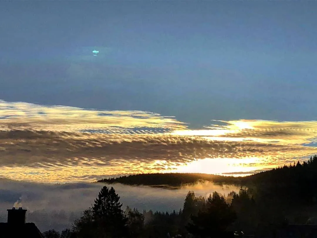 Forsters Schwarzwald Hof - Resort-Hotel&Pension