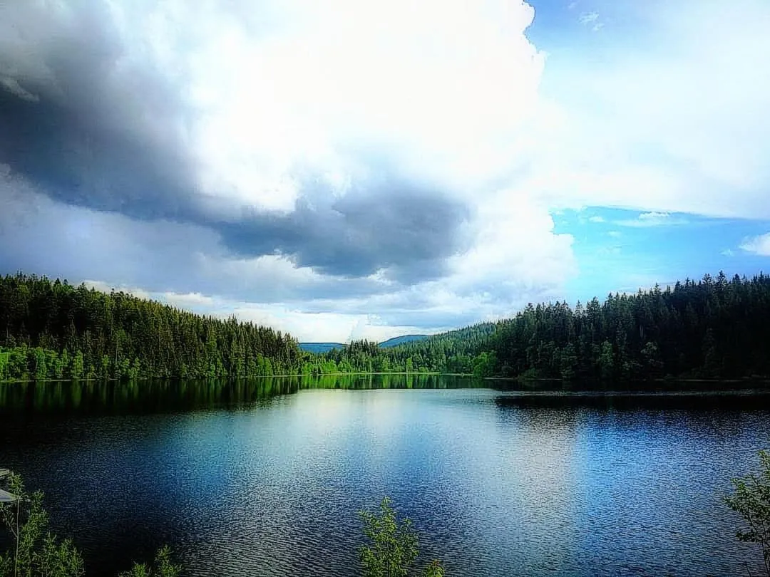 Forsters Schwarzwald Hof - Resort-Hotel&Pension