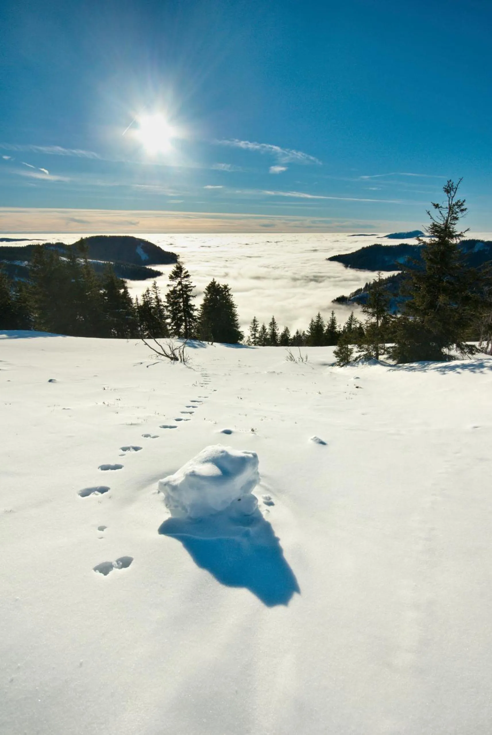 Forsters Schwarzwald Hof - Resort-Hotel&Pension