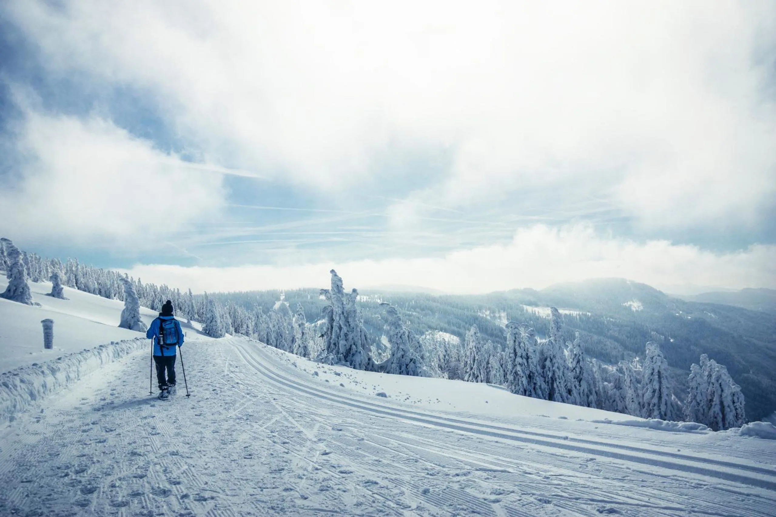 Forsters Schwarzwald Hof - Resort-Hotel&Pension