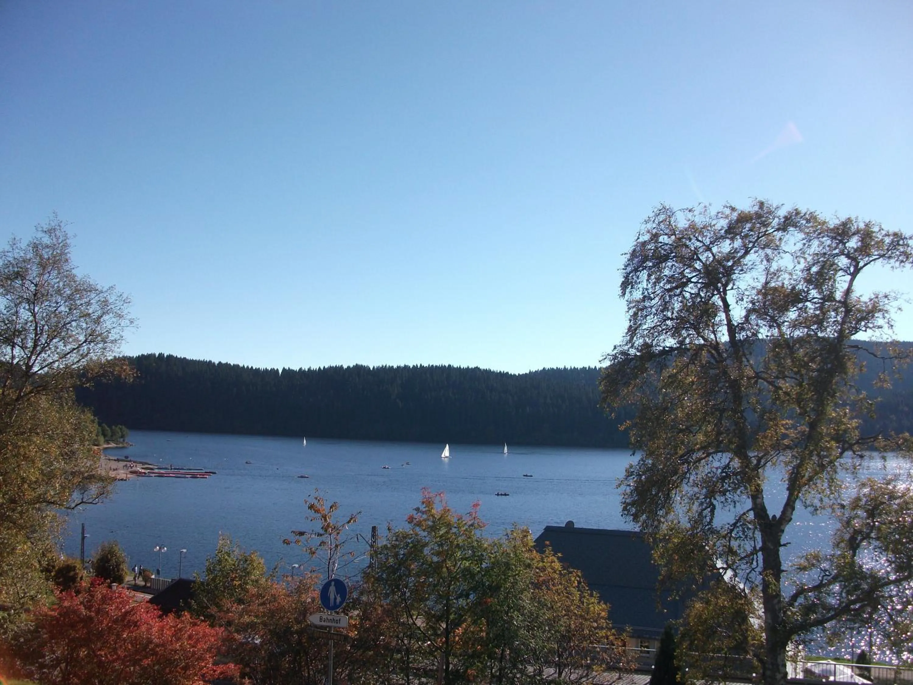 Summer in Forsters Schwarzwald Hof - Resort-Hotel&Pension