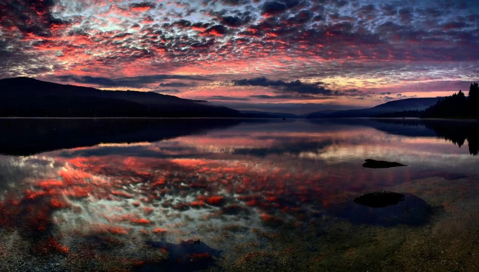 Forsters Schwarzwald Hof - Resort-Hotel&Pension