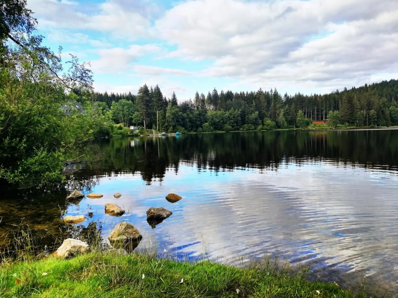 Forsters Schwarzwald Hof - Resort-Hotel&Pension