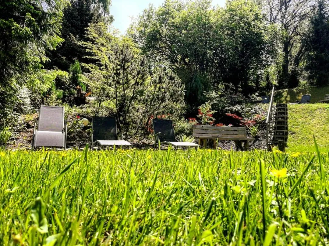 Garden in Forsters Schwarzwald Hof - Resort-Hotel&Pension