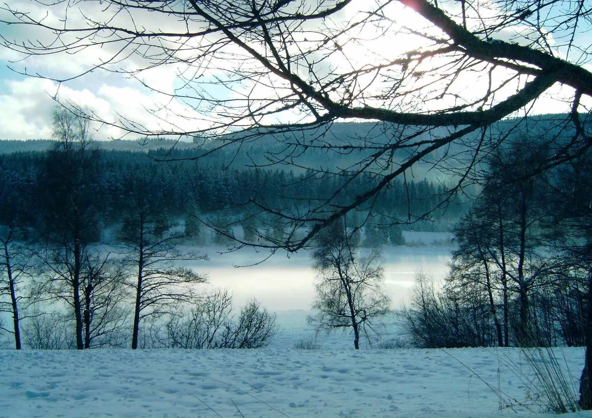 Winter in Forsters Schwarzwald Hof - Resort-Hotel&Pension