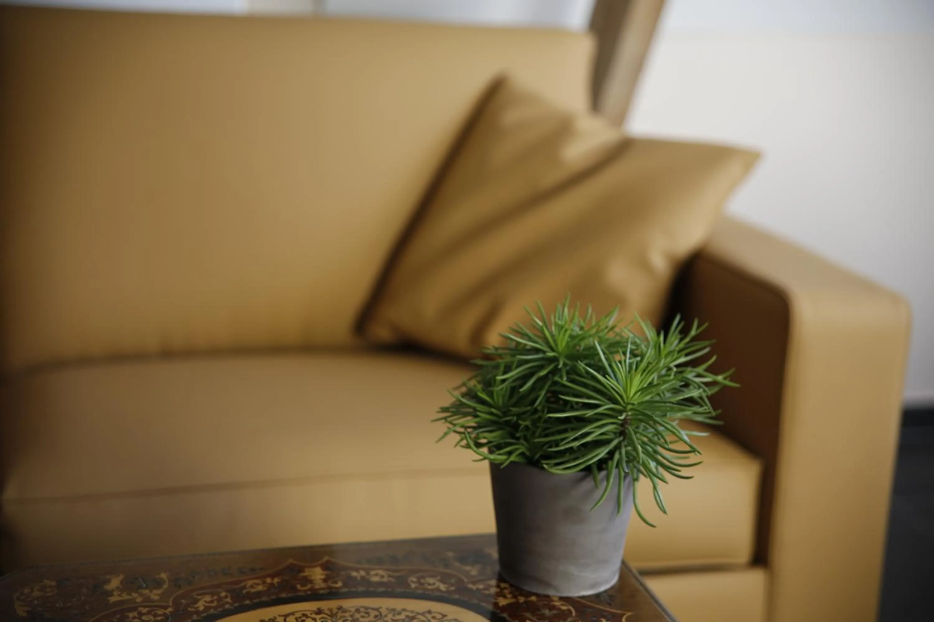 Seating area in B&B Hippo-Droom