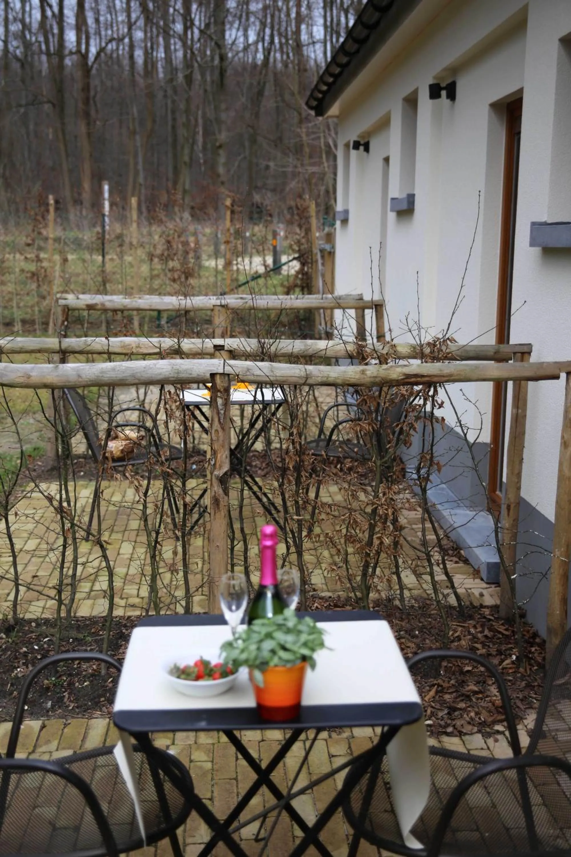 Balcony/Terrace in B&B Hippo-Droom