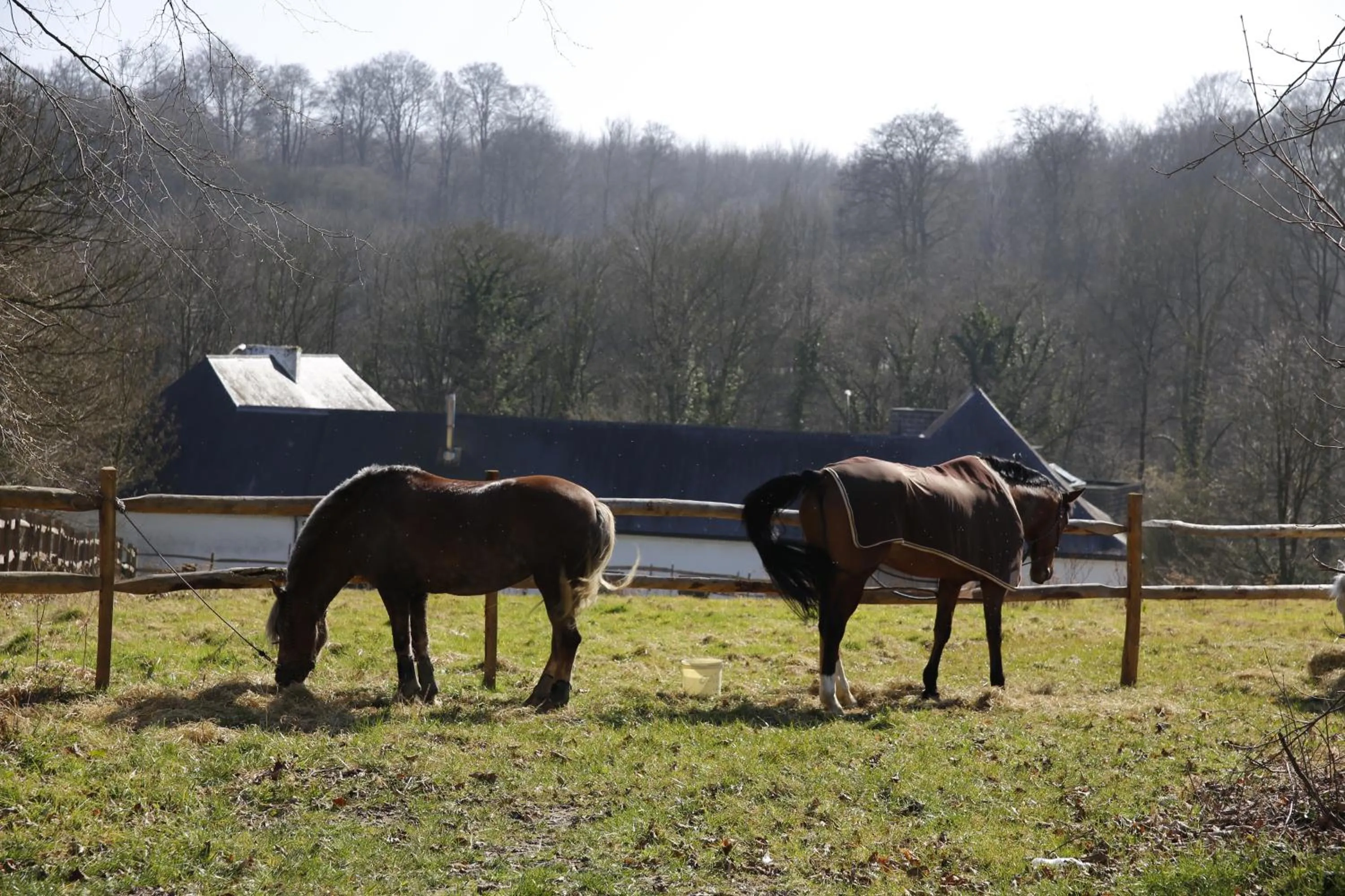 Area and facilities in B&B Hippo-Droom