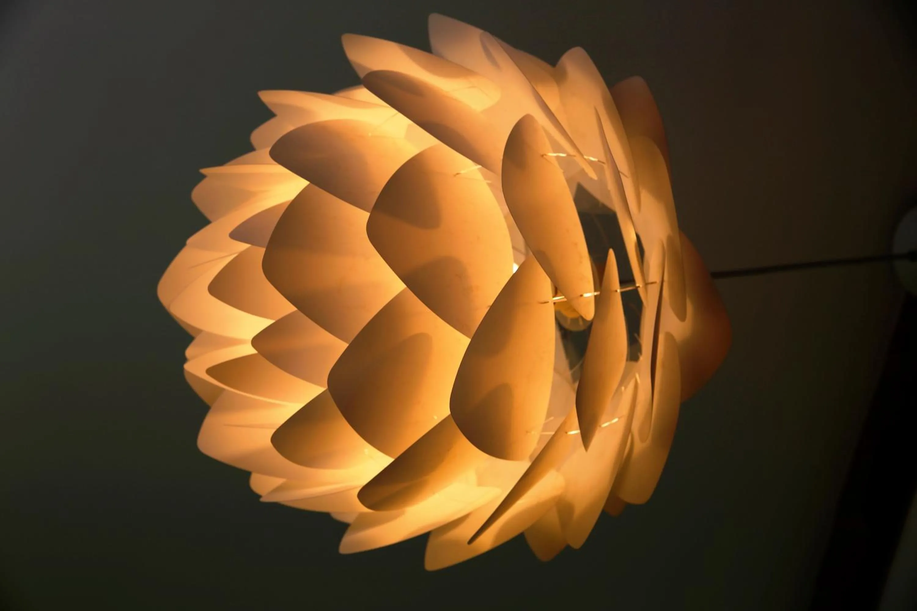 Decorative detail in B&B Hippo-Droom