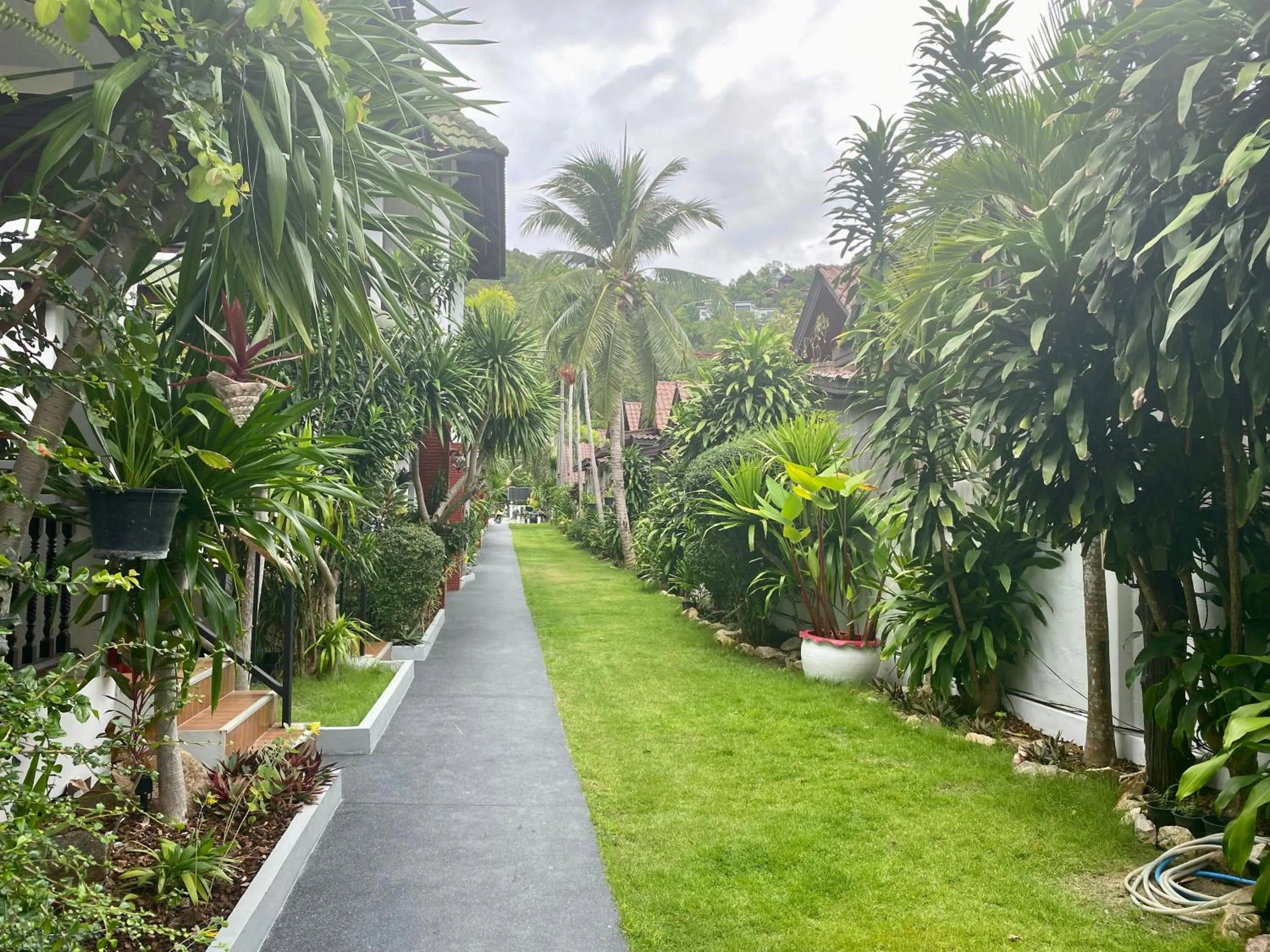 Natural landscape in Amara Beach Resort Koh Phangan