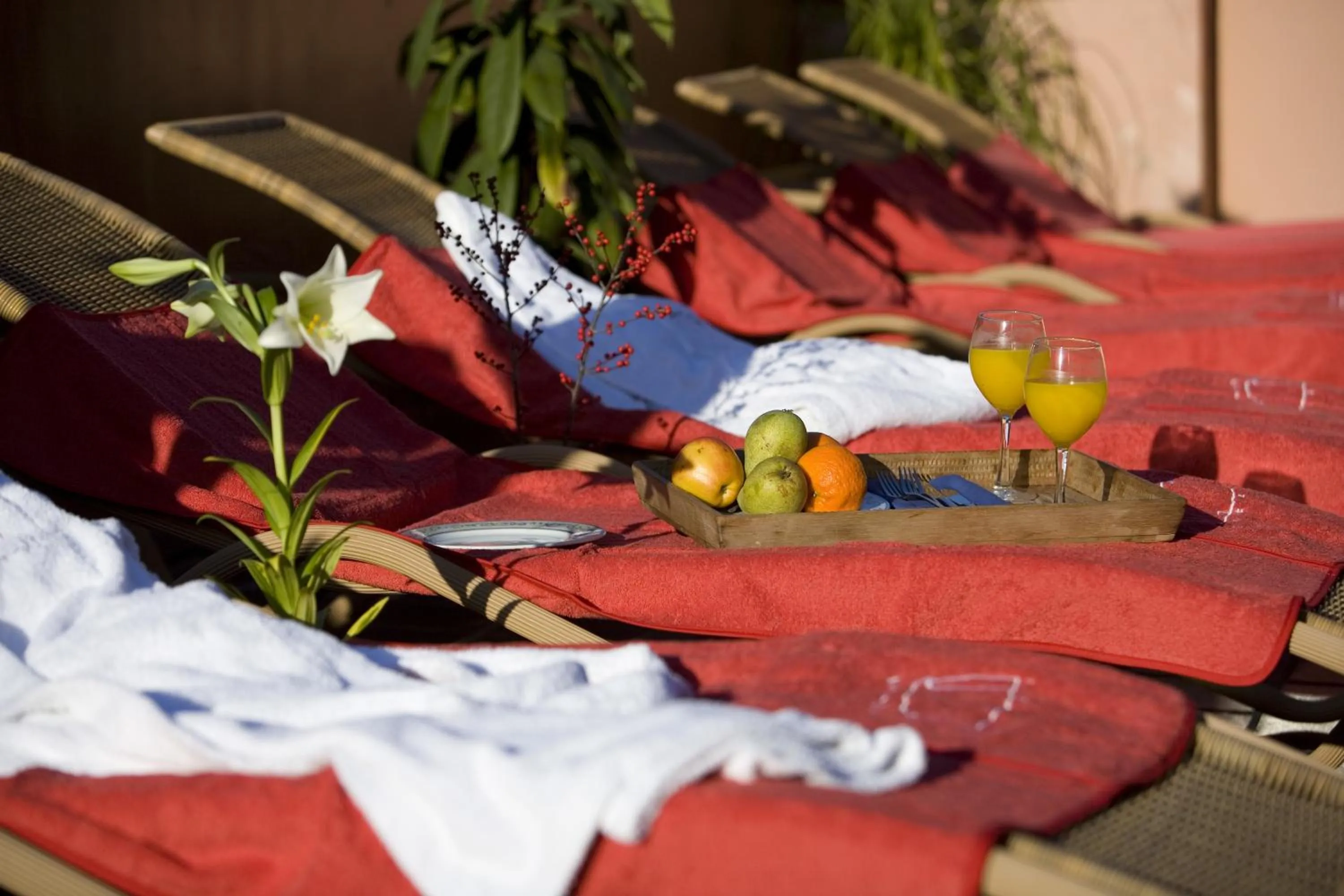 Area and facilities in Hotel LIVVO La Quinta Roja