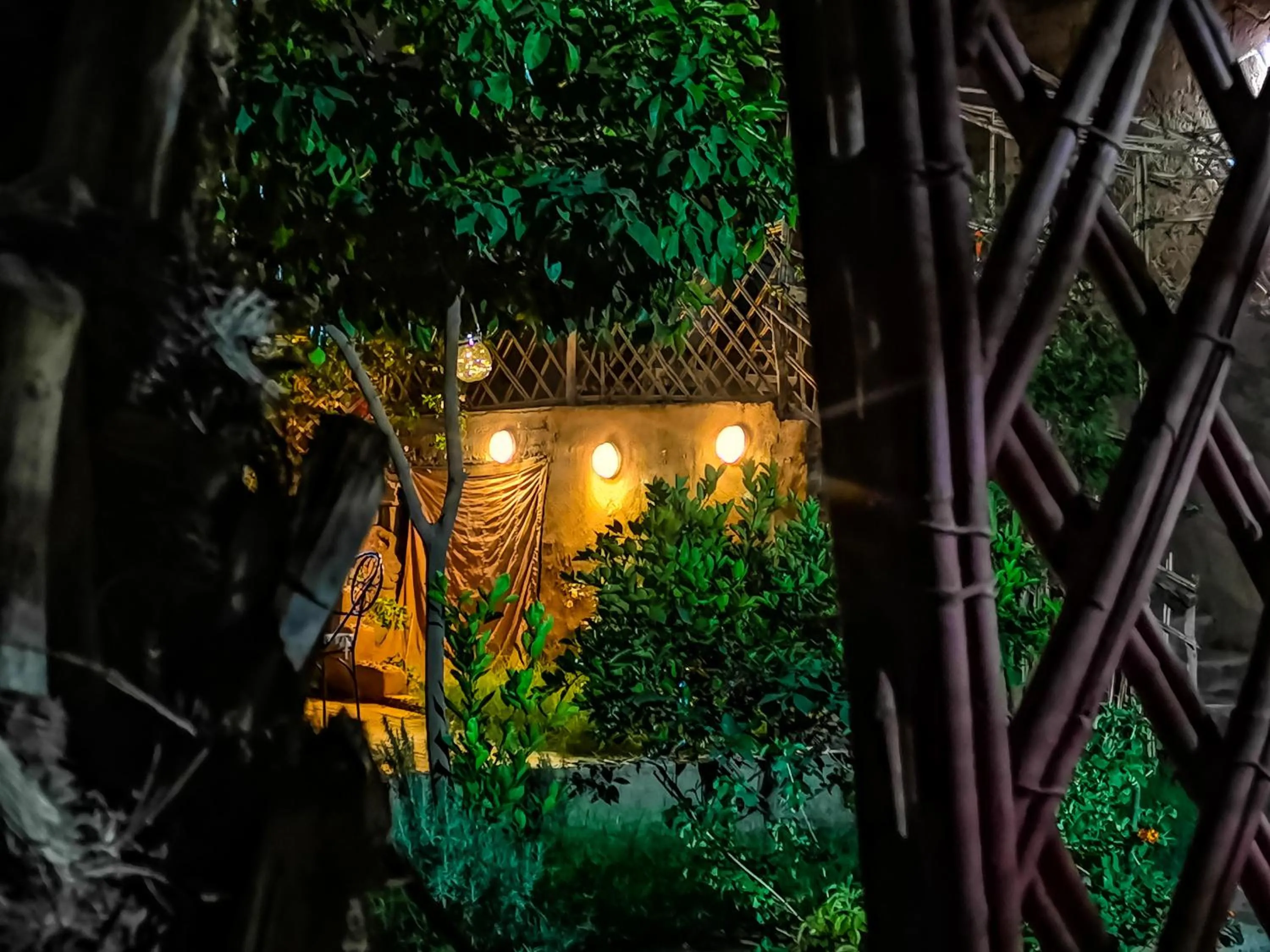 Natural landscape in Riad Dar Zaouia