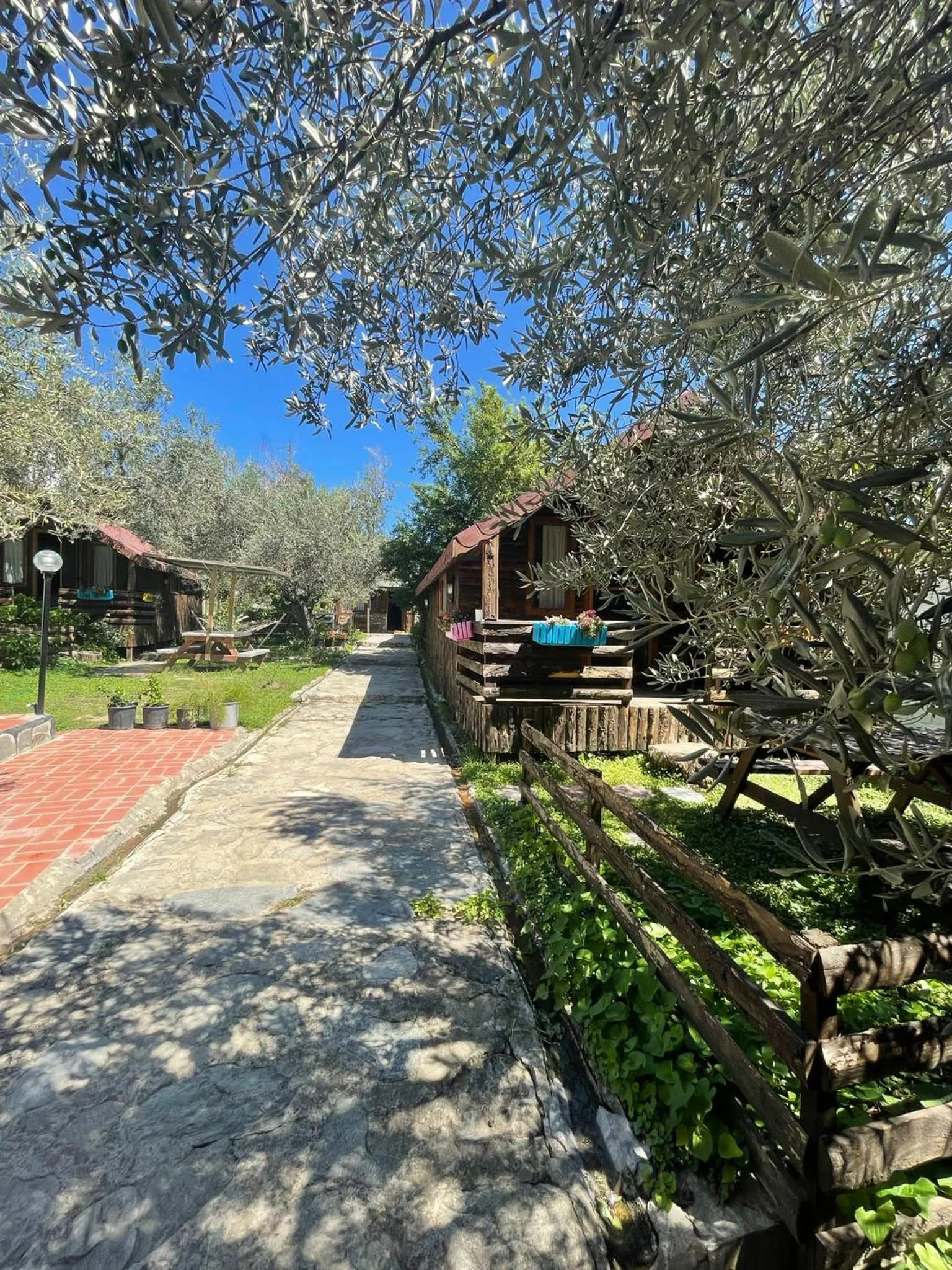 Garden view in Zeytindağı bungalow