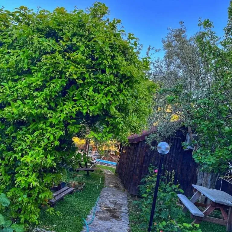 Seating area in Zeytindağı bungalow