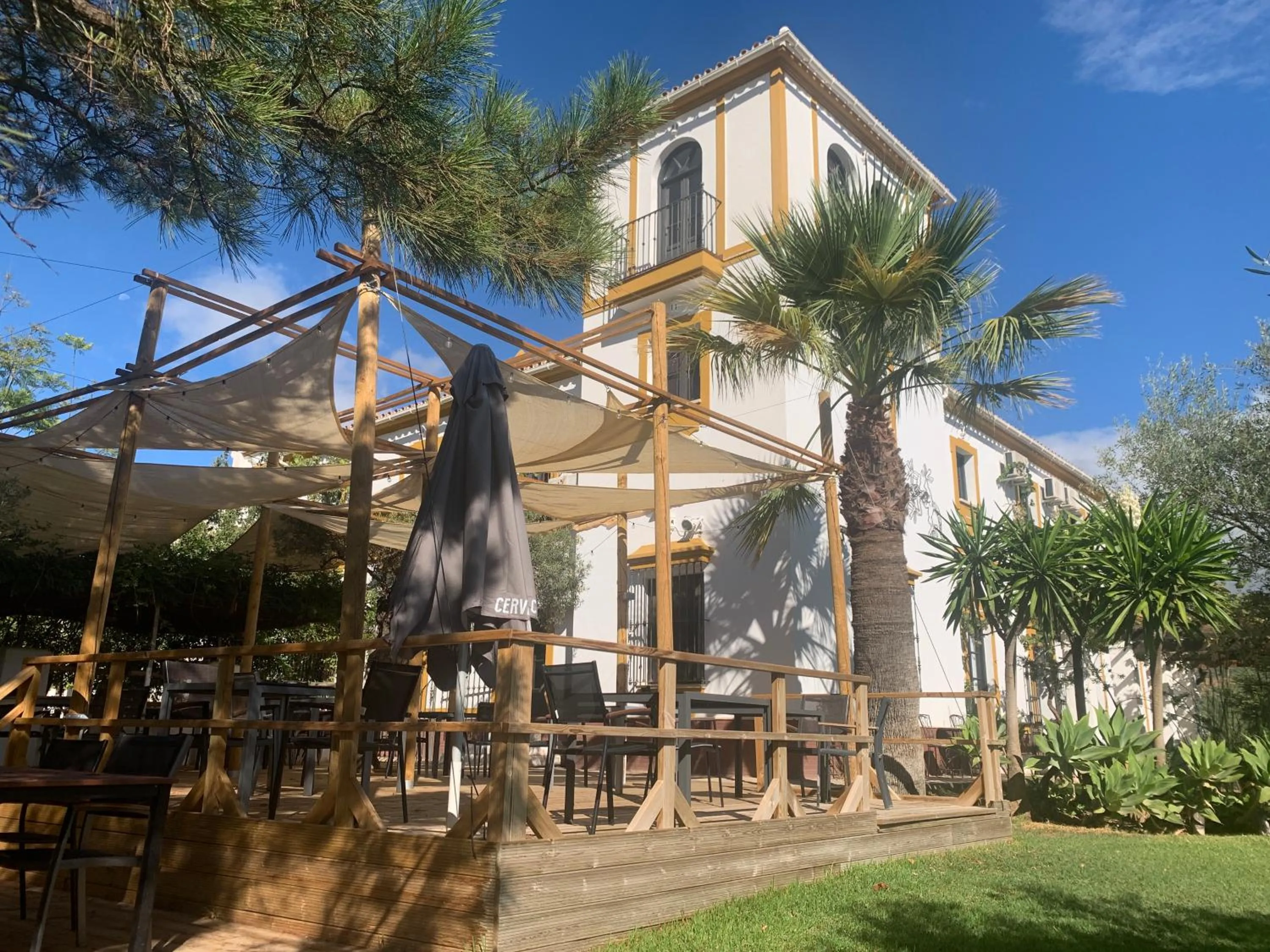 Lounge or bar in Cerro de Hijar