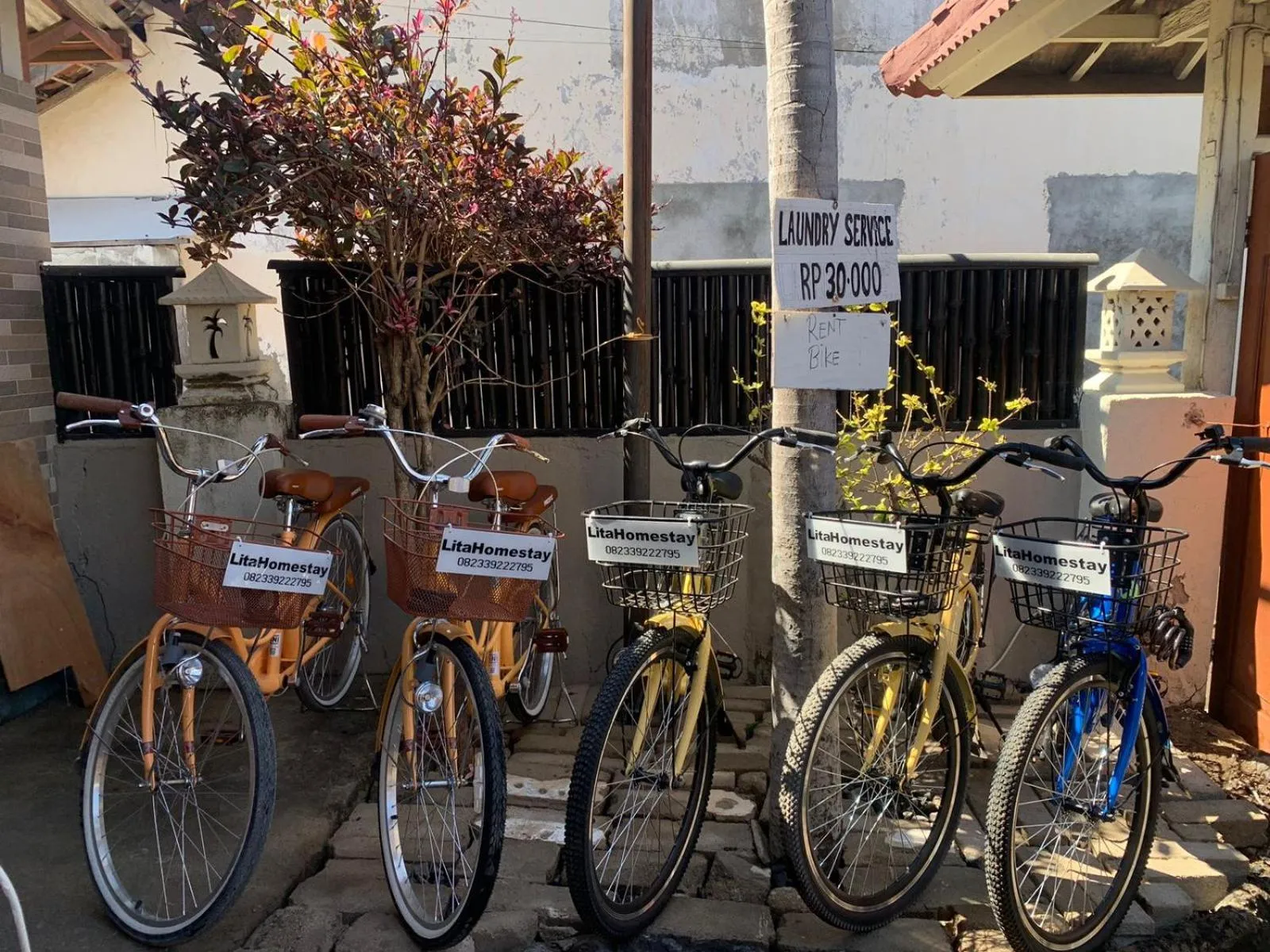Cycling in Lita Homestay