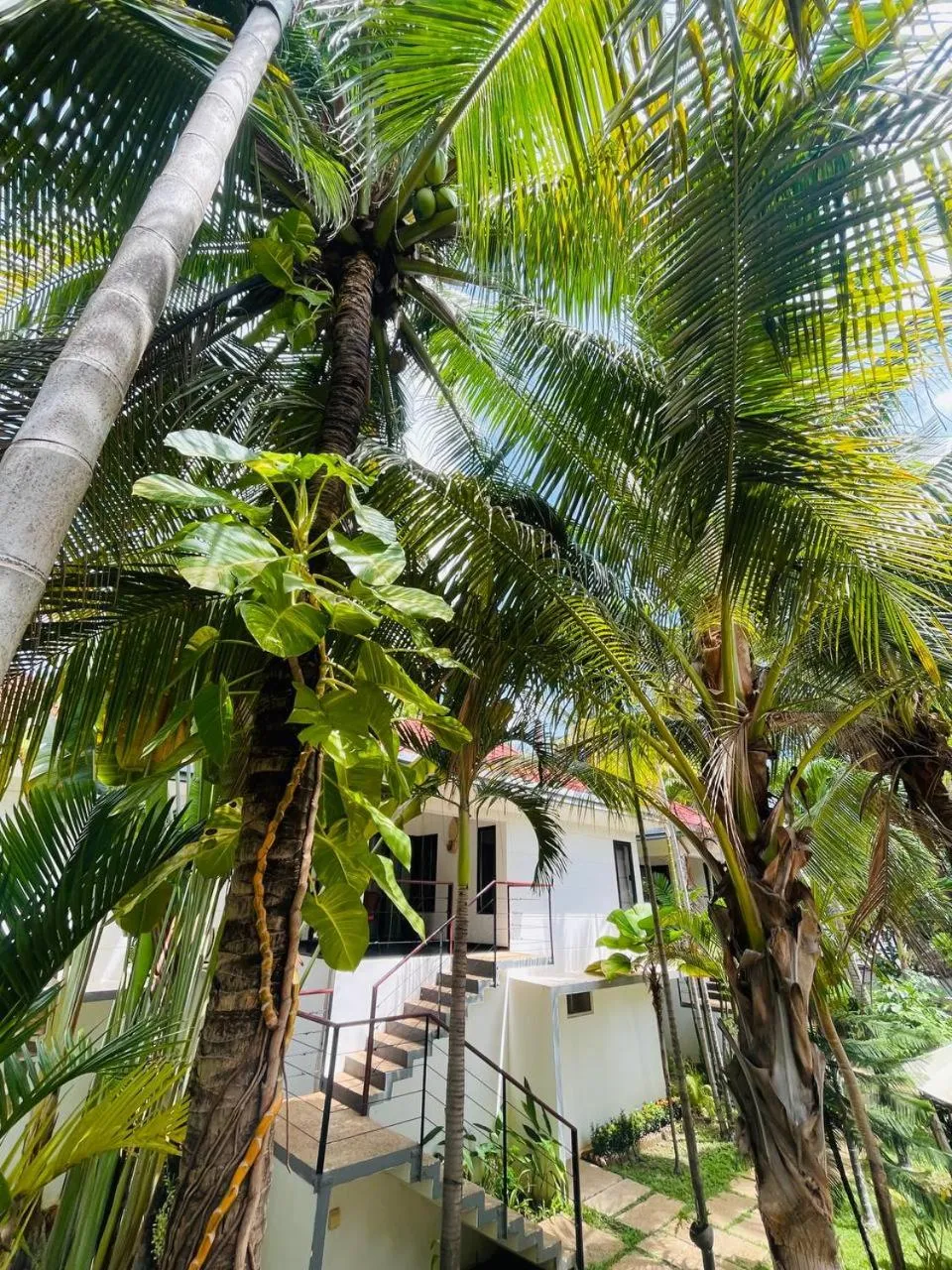 Apsara Greenland Boutique Villa & Resort