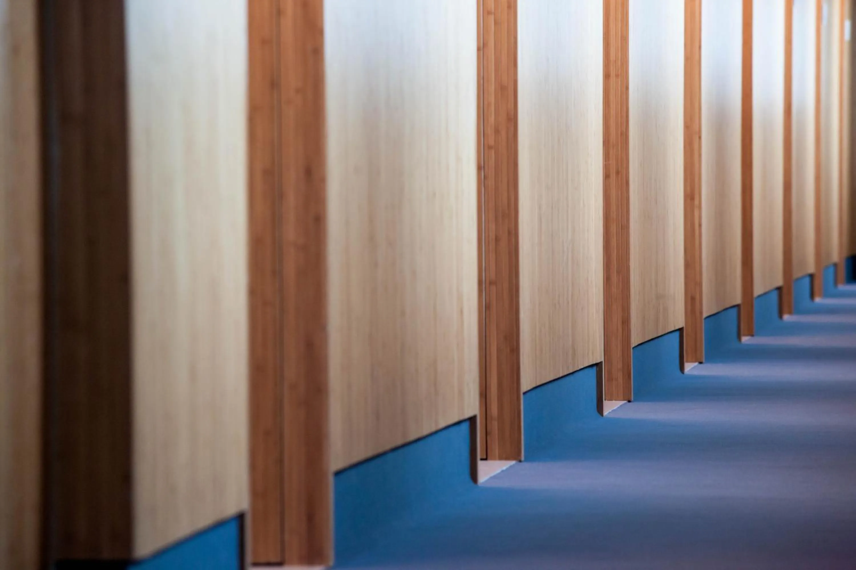 Other in Ocean Drive Talamanca