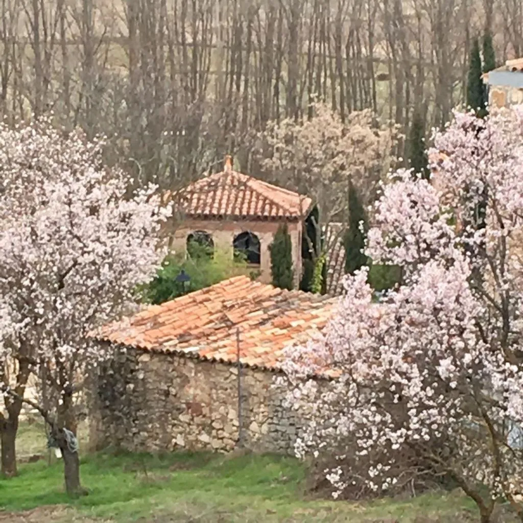 Hotel Spa Salinas de Imón