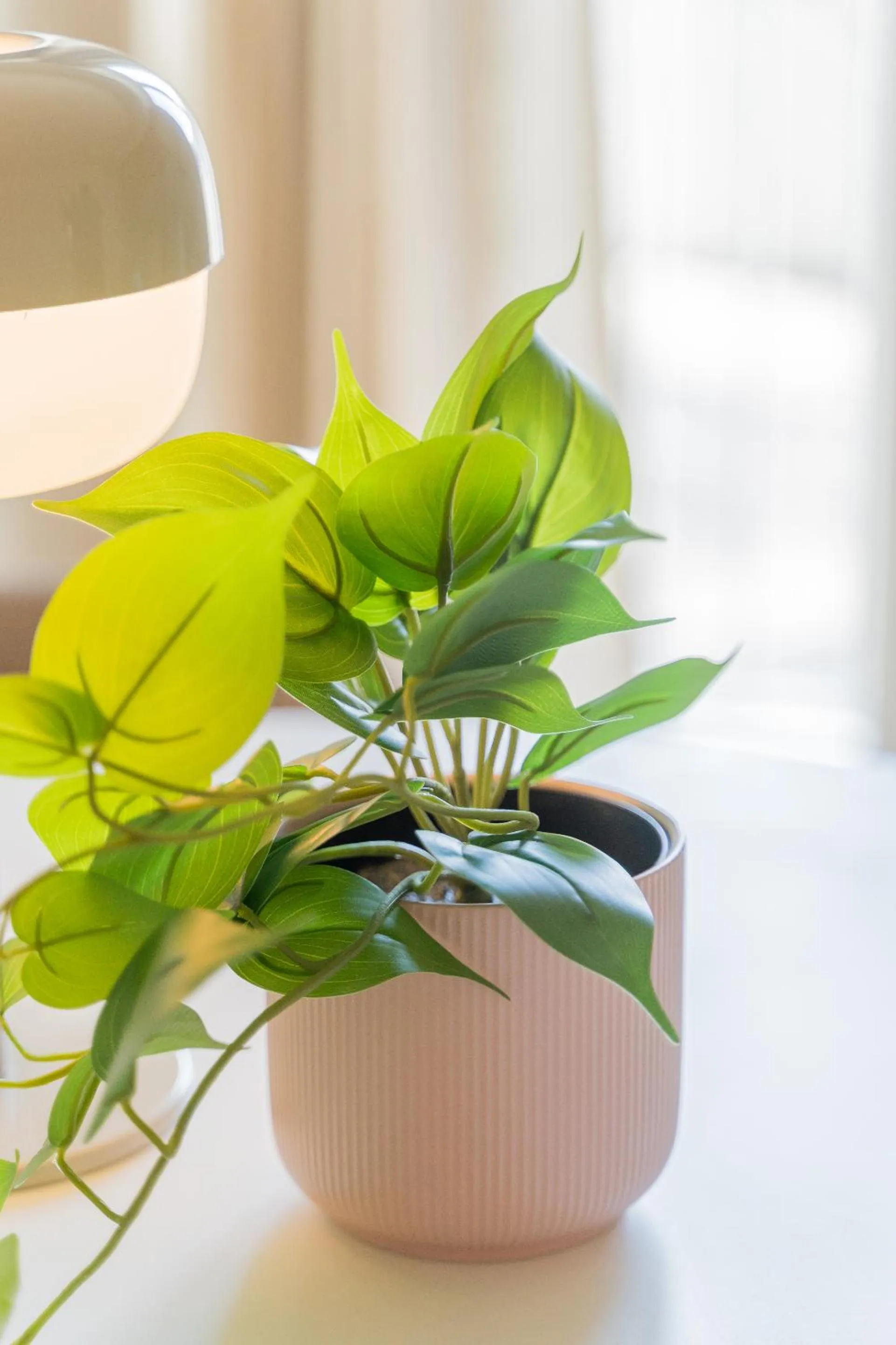 Other in Le Gabriel - STRASBOURG